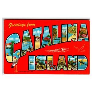 Greetings from Catalina Island CA Multi-View Chrome Postcard Curt Teich